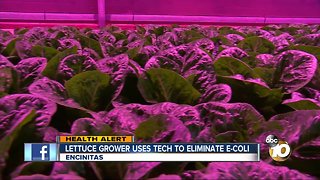 Local business develops technology that could prevent outbreaks in their crops