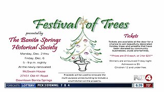 'Festival of Trees' fundraiser kicks off Monday night