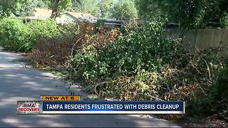 Tampa residents frustrated with debris cleanup