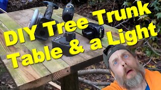 DIY Tree Trunk Table & a Light