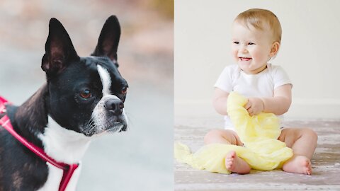 Baby boy laughing at his dog