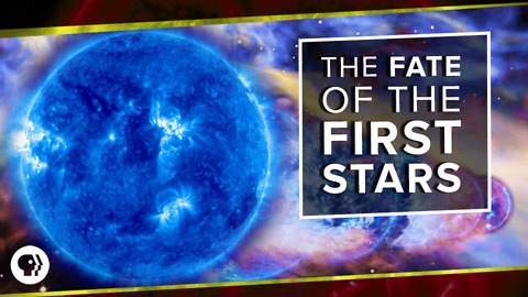The Fate of the First Stars