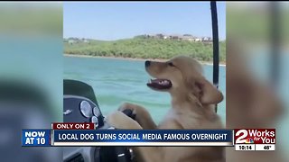 Candid video of Oklahoma dog becomes viral surprise