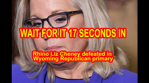 Rhino Liz Cheney defeated in Wyoming Republican primary 17 SECONDS IN