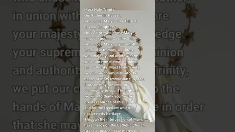 An Act of Consecration to Mary Immaculate #shorts