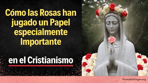 Cómo las Rosas han jugado un Papel especialmente Importante en el Cristianismo