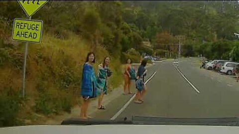 Skillful driver avoids running over pedestrian