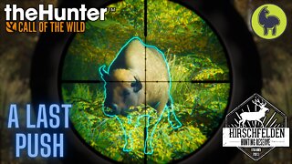 The Hunter: Call of the Wild, Bhandari- A Last Push, Hirschfelden (PS5 4K)