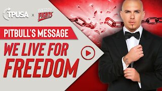 Pitbull's Message To The World: We Live for Freedom