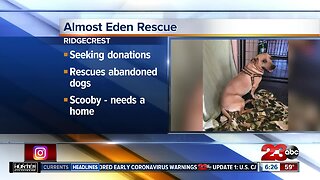 Give Big Kern: Almost Eden Rescue