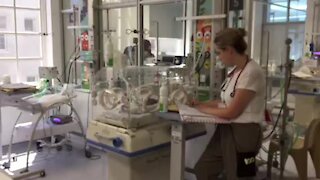 SOUTH AFRICA - Cape Town - Groote Schuur Hospital Neonatal Unit (Video) (ndc)
