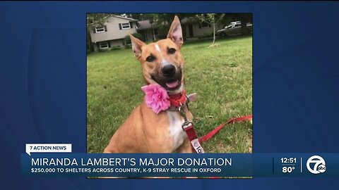 Miranda Lambert’s MuttNation non-profit makes donation to K9 Stray in Oxford