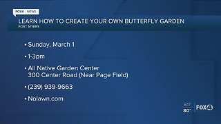 Create your own butterfly garden