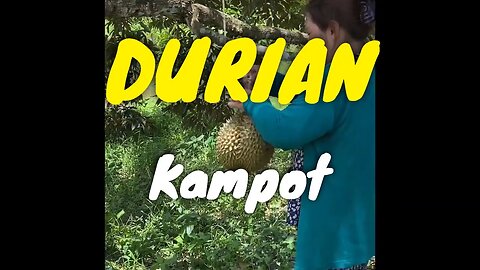 6 Nutritional Benefits of Durian - Organic KAMPOT Durian