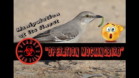 PRP Episode 3. Operation Mockingbird