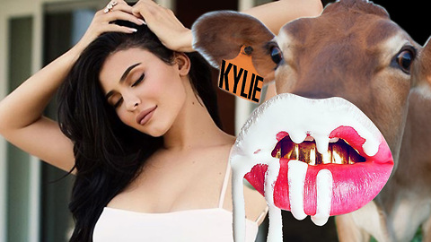 Kylie Jenner Has Dairy COW Named After Her After Her BIG Revelation!