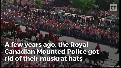 Canadian Mounties Send Peta-style Idiots Into Frenzy With 1 Wardrobe Change