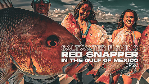 Saltwater Fishing Red Snapper: Bottom Fishing in the Gulf of Mexico| Landed Fishing EP28