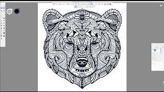 Grizzly Bear Face Line Art Time-Lapse Drawing