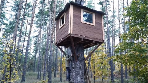Building a tree house in a few days