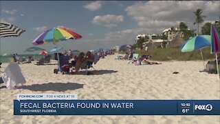 Fecal bacteria found in water