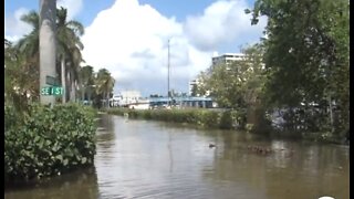 King tide problems and solutions in Delray Beach