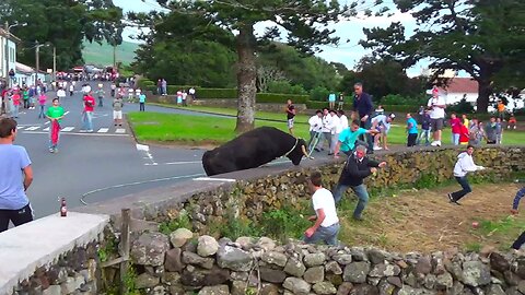 Touradas 2014 Clip 3 - Diversas Localidades Ilha Terceira - Açores - Portugal