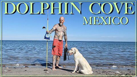 Dolphin Cove Baja Mexico