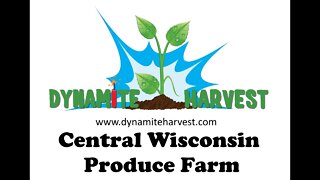Dynamite Harvest Central Wisconsin Produce Farm