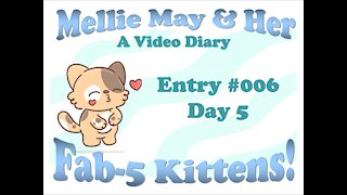 Video Diary Entry 006 - Day 5 of Mellie May and Babies
