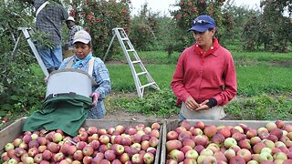 Rural Medical Centers Adjust To Meet Farm Workers' Needs