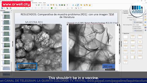 OFFICIAL INTERIM REPORT OF PFIZER'S VACCINATION VIAL ANALYSIS EXPLAINED BY LA QUINTA COLUMNA