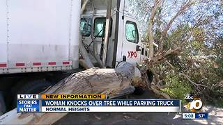 Woman knocks over tree while parking truck