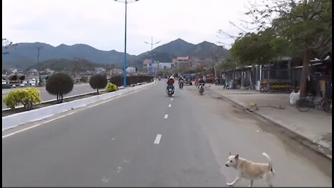 Vietnam, Khánh Hòa, Nha Trang, Vĩnh Lương - 2014-01