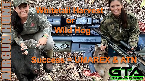 GTA AIRGUN HUNT – White Tail Deer or Wild Hog H-A-M-M-E-R Success - Gateway to Airguns Airgun Hunt