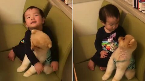 Toddler and little puppy like to spend time together