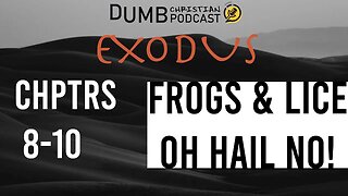 Frogs & Lice Oh Hail No! (Exodus 8-10) | The plagues are a direct assault on the gods of Egypt!