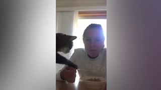"A Girl Tries To Eat Cereal From A Bowl And Her Cat Wants Some Too"
