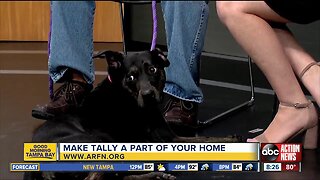 Rescues in Action Aug. 25 | Tally