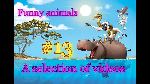 Funny animals / A selection of videos #13