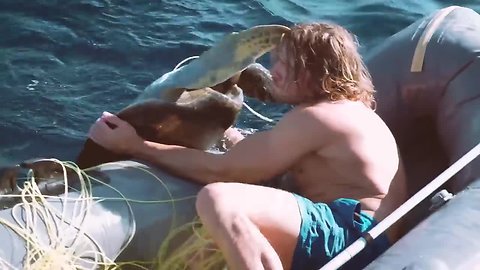 Man saves four sea turtles trapped in fishing nets
