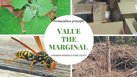 Permaculture principle - value the marginal (read description below)