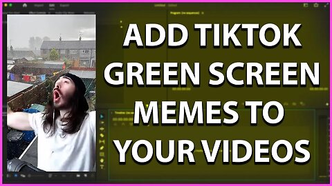 Add Green Screen Memes To Your Videos - Ultra Key In Premiere Pro