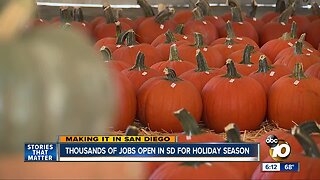 San Diego businesses increase hiring for the holidays