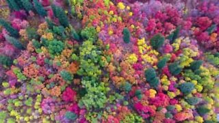 Incredibili colori d'autunno nello Utah