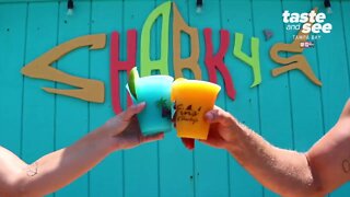 Sharky's on the Pier in Venice Beach, Florida | Taste and See Tampa Bay