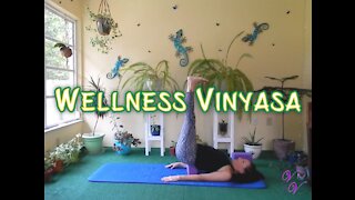Wellness Vinyasa