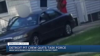 Detroit Pit Crew outraged over puppy abuse case, quits Macomb County Prosecutor's Office task force