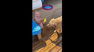 Baby Can't Stop Laughing As She Shares Her Water With Doggy