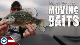 Fishing Multi-Species Moving Baits | Bass, Crappie & Bluegill